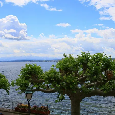 Alte Molke 5 Apartment Meersburg